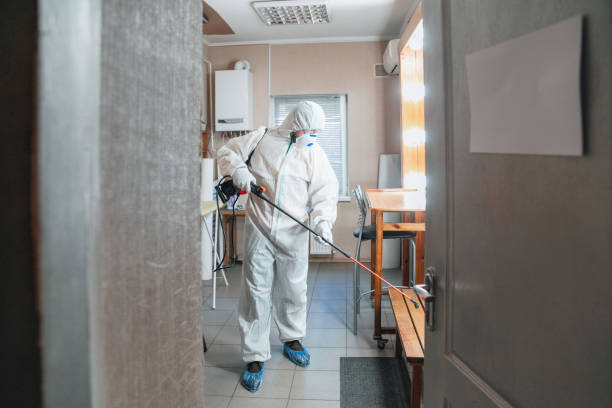 Reliable Bonham, TX Mold Removal Solutions